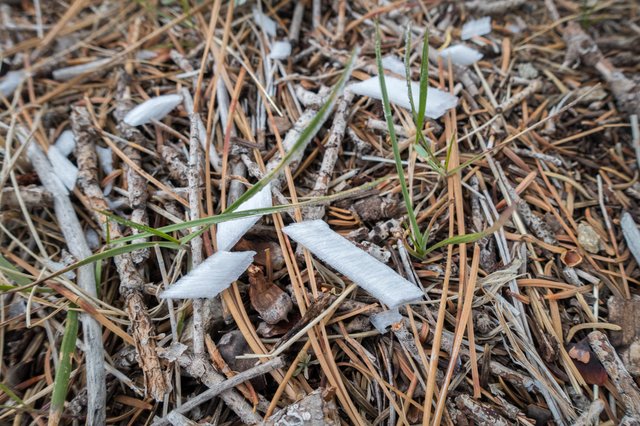 Snow peelings, m367