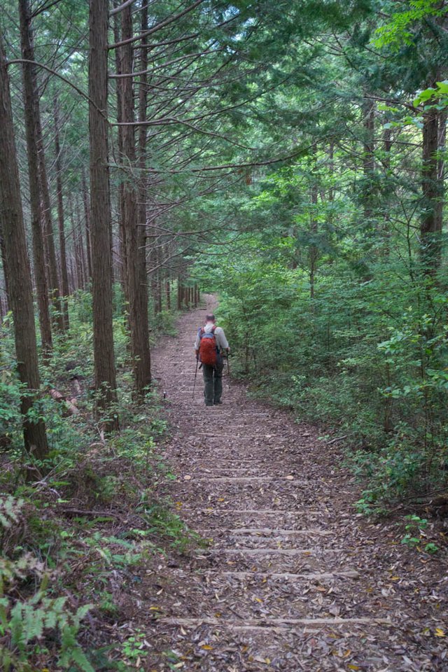 Kumano Kodo, first of many steps