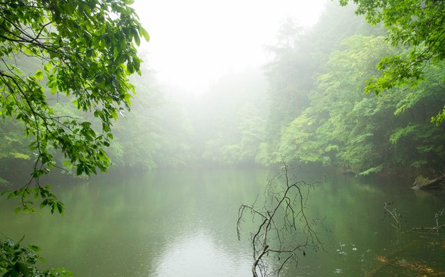 Lake in the mist