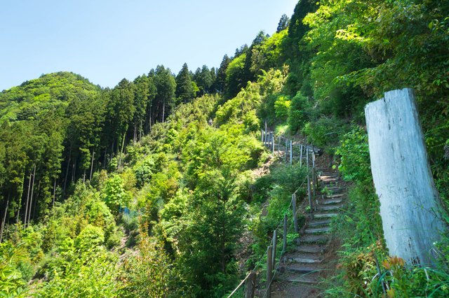 Kumano Kodo detour