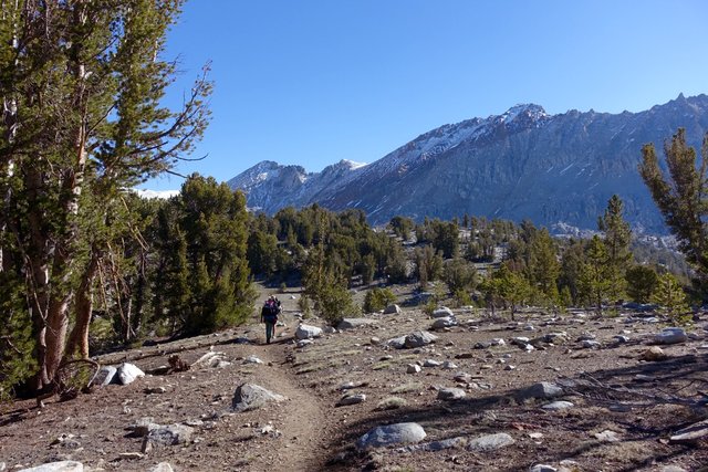 Walking towards Pinchot Pass, m804