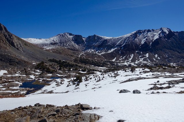 Unexpected snowfield below Pinchot Pass, m805