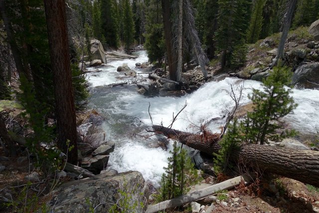 Crazy wild overflowing river, m827