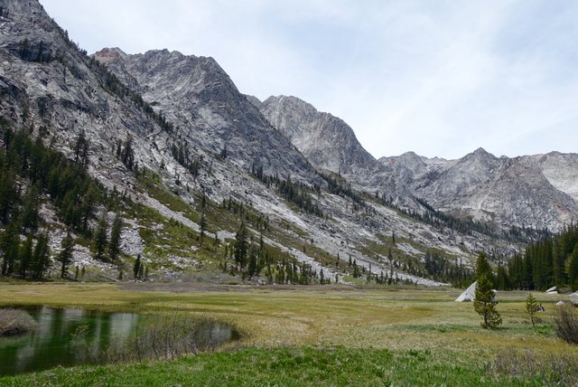 Pretty meadow, m828