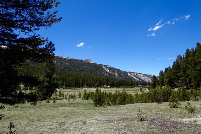 Colby Meadow, m847