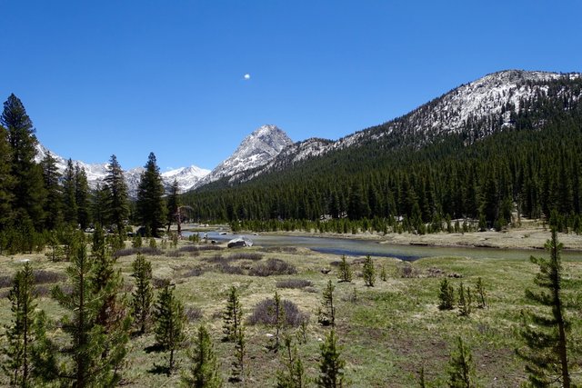 Colby Meadow in Evolution Valley, m847