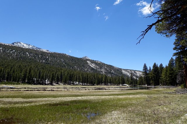 McClure Meadow, m848