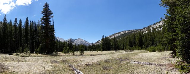 Evolution Valley meadow, m850