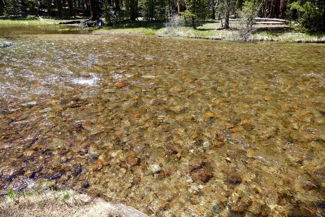 Evolution Creek crossing (just ankle deep), m851