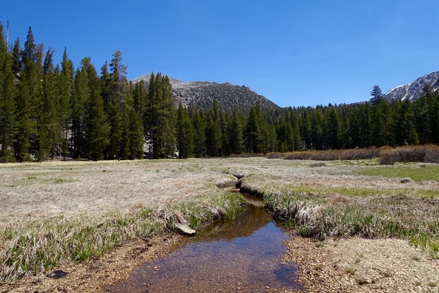 Meadow on the way up to Sally Keyes Lakes