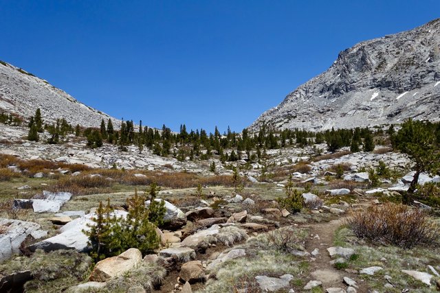 Looking up towards Selden Pass