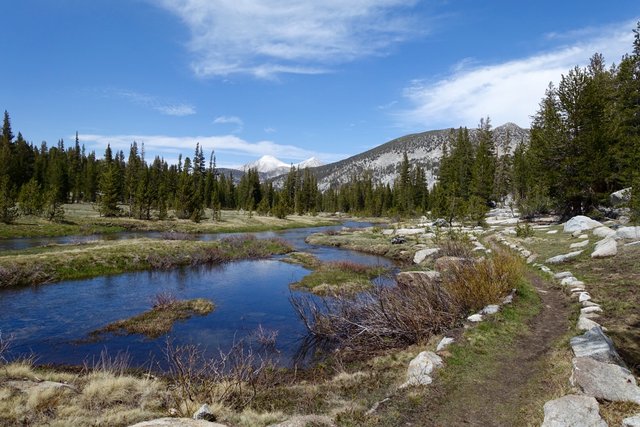 Meadow near Rose Lake Trail junction, m867