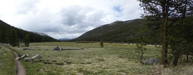 Lyell Canyon meadow, m934