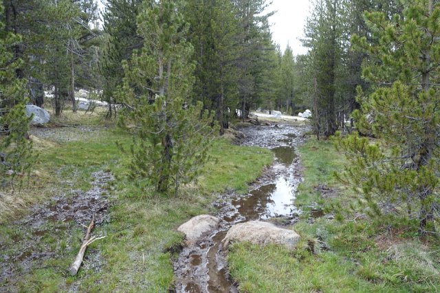Lyell Canyon muddiness, m938