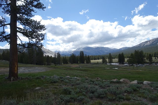 Tuolumne Meadows, m944