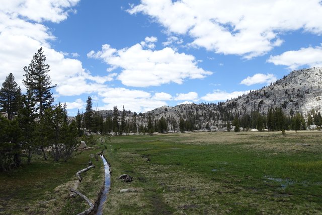 Muddy trail