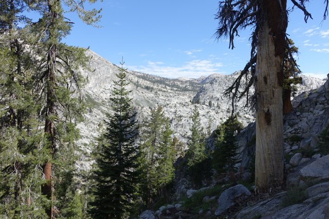 North Yosemite scenery