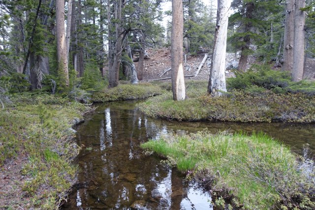 Pretty stream, mile 1001