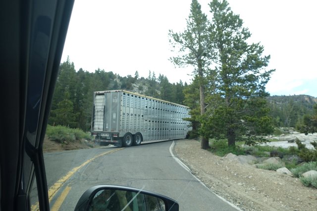 Not a road for trucks