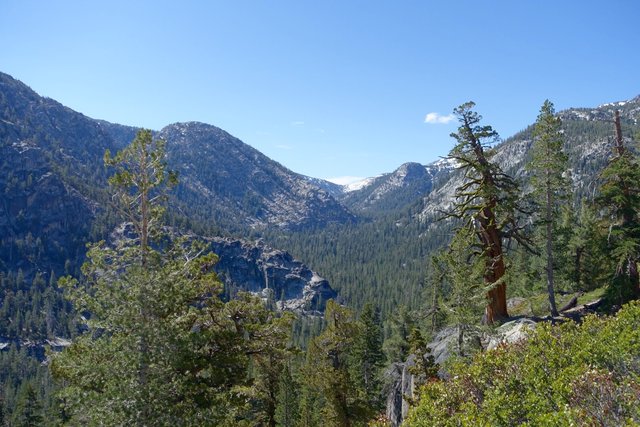 East Carson River headwaters