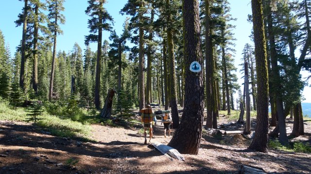 North on the PCT