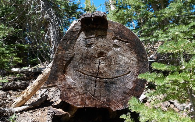 Trail crew art