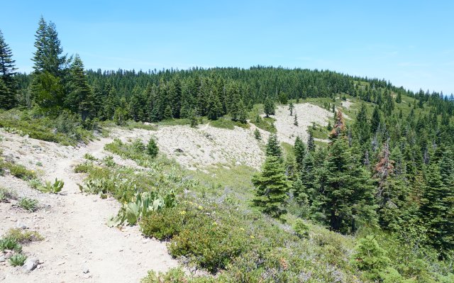More PCT, cresting