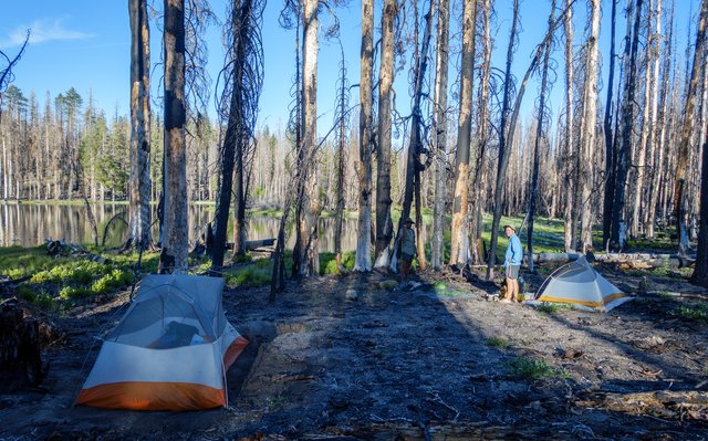 Campsite near Cluster Lake