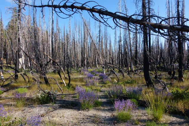 Leaving Cluster Lakes