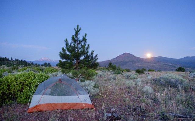 Campsite on Hat Creek Rim