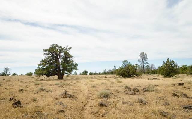 Dry and hot, Hat Creek Rim