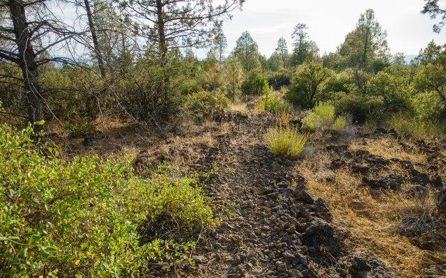 Lava trail coming off Hat Creek Rim