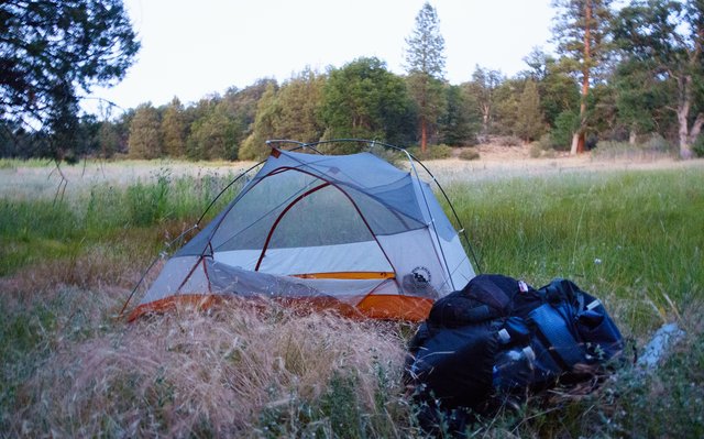 Campsite, Baum Creek