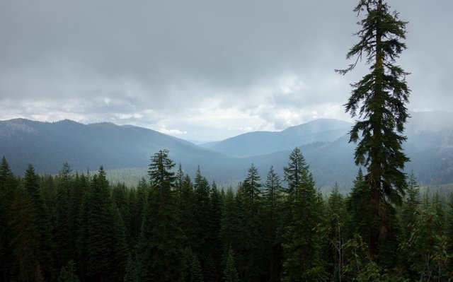 Cool and misty morning in the Trinity Mountains