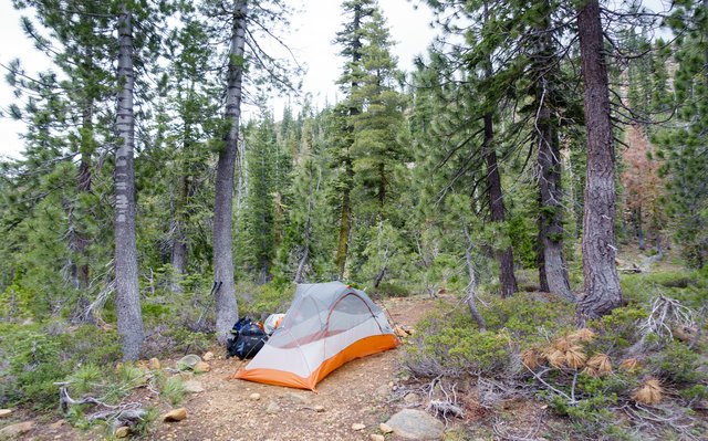 Campsite, July 11 2015