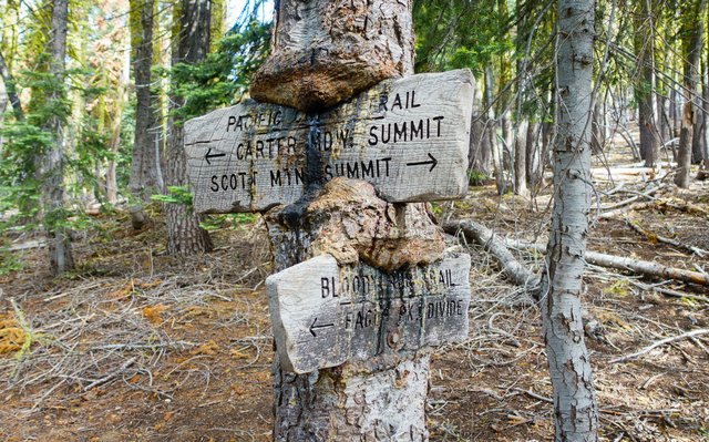 Trail signs, devoured