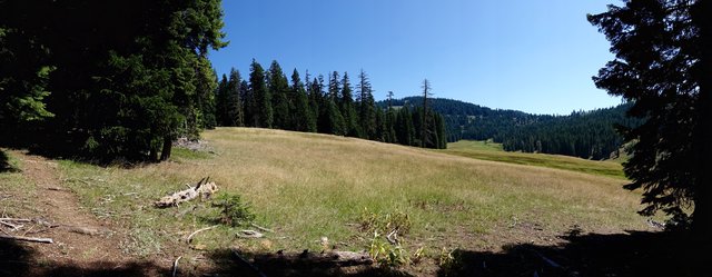 Siskiyou meadow