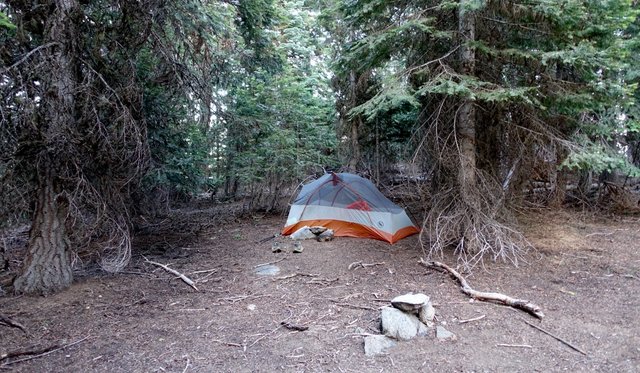 Campsite, July 19