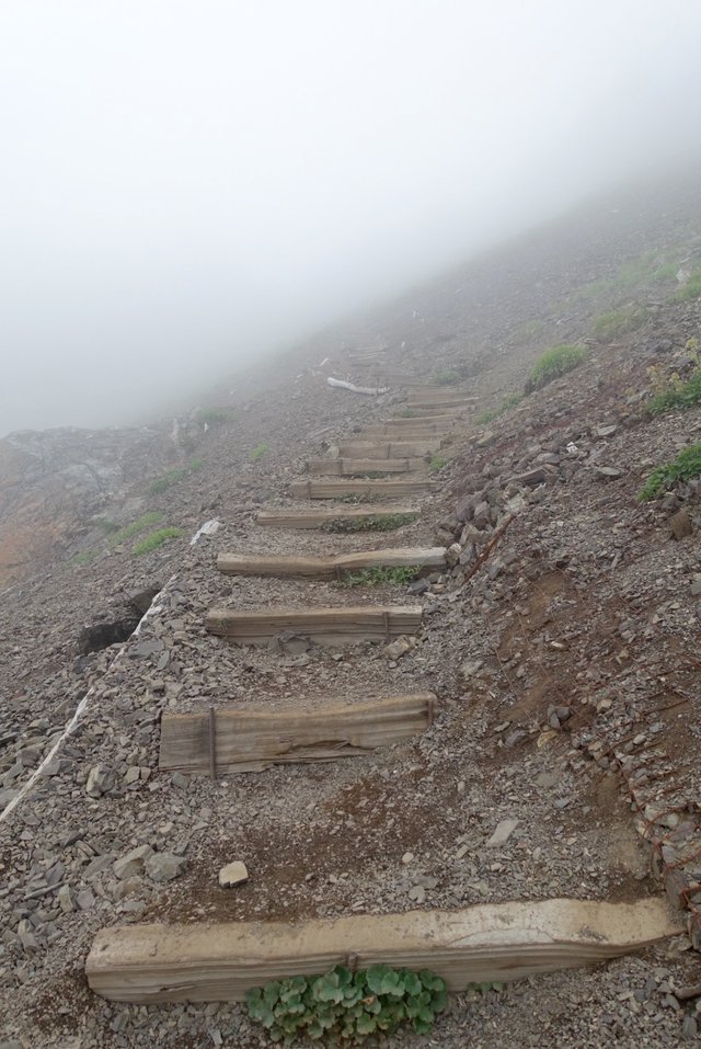 Trail up Mt Ellinor