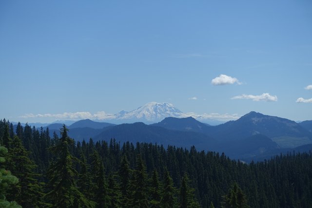 Mt Rainier is big