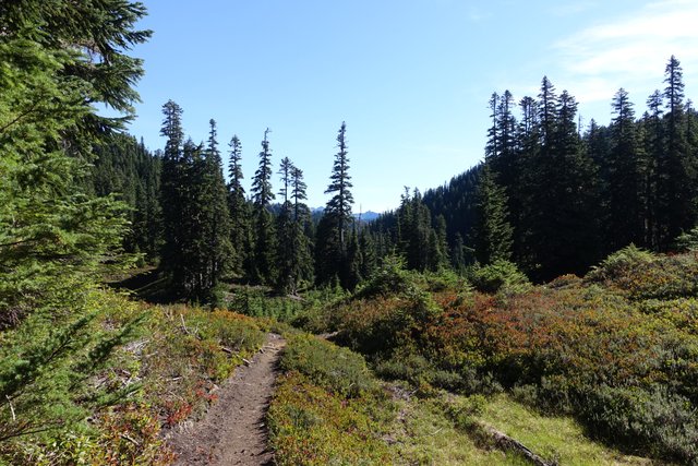 PCT on an already warm day