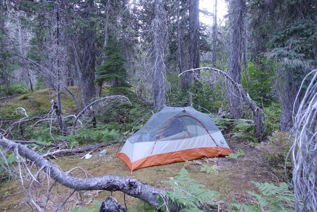 Camp, July 29 2015, along the Waptus River