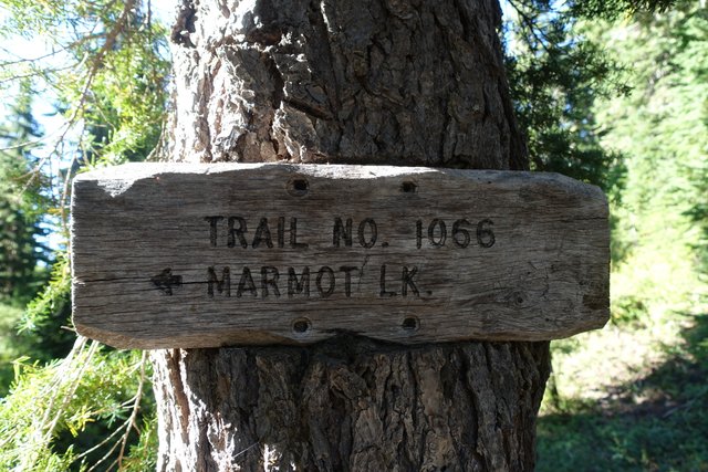 Marmot Lake