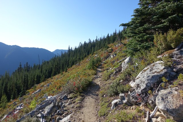 PCT along a hillside