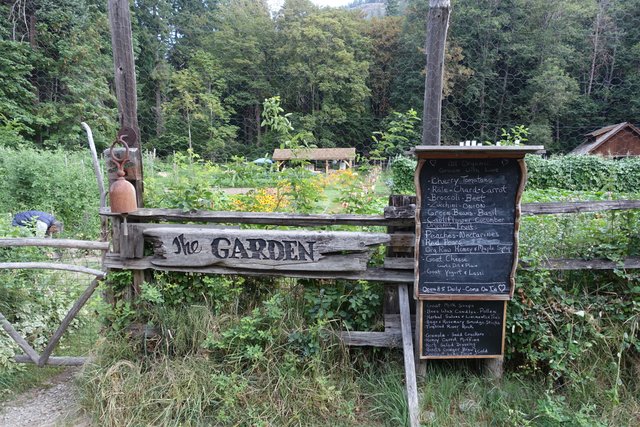 Stehekin garden