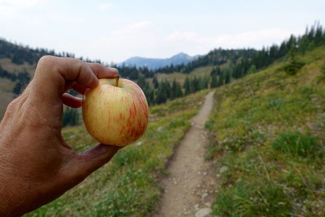 Trail magic near Windy Pass