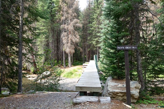 Bridge in Manning Park