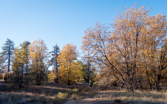 Starting out our autumn hike