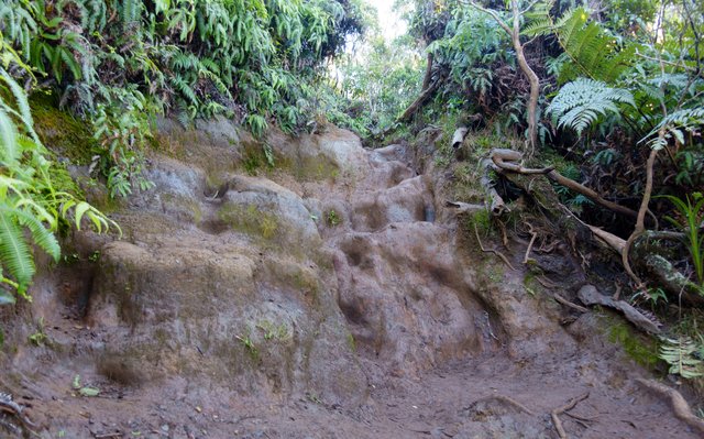 Mud wall climb