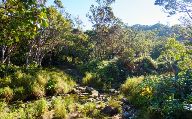 Stream crossing